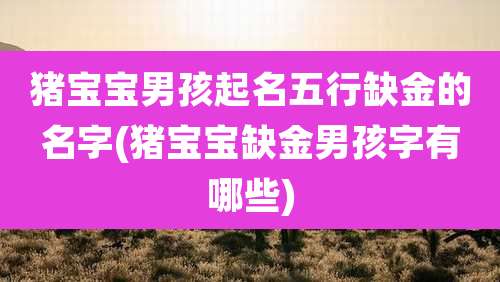 猪宝宝男孩起名五行缺金的名字(猪宝宝缺金男孩字有哪些)