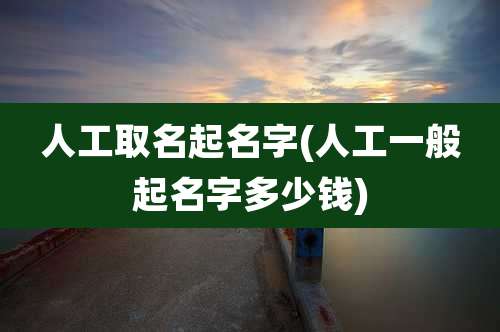人工取名起名字(人工一般起名字多少钱)