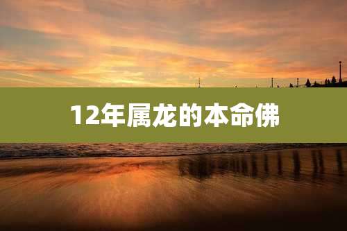 12年属龙的本命佛