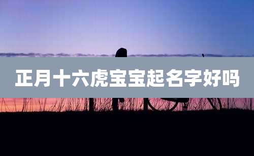 正月十六虎宝宝起名字好吗