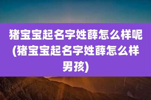 猪宝宝起名字姓薛怎么样呢(猪宝宝起名字姓薛怎么样男孩)