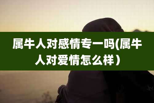 属牛人对感情专一吗(属牛人对爱情怎么样)