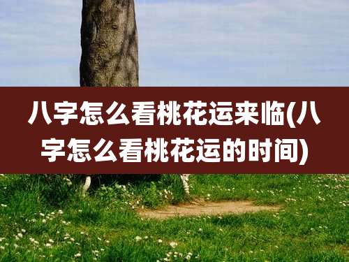 八字怎么看桃花运来临(八字怎么看桃花运的时间)