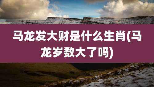 马龙发大财是什么生肖(马龙岁数大了吗)