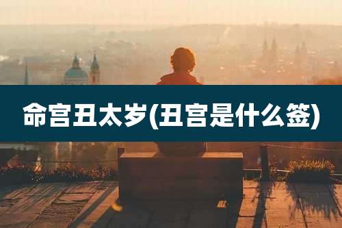 命宫丑太岁(丑宫是什么签)