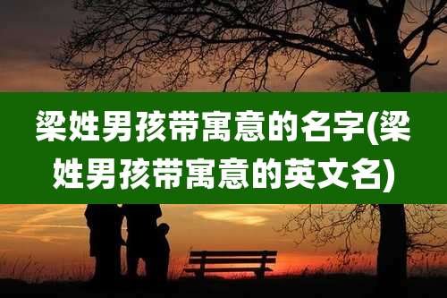 梁姓男孩带寓意的名字(梁姓男孩带寓意的英文名)