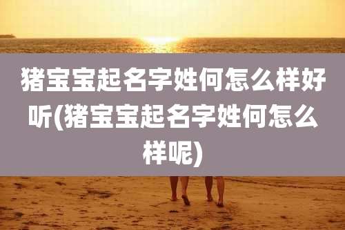 猪宝宝起名字姓何怎么样好听(猪宝宝起名字姓何怎么样呢)