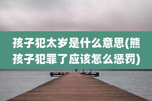 孩子犯太岁是什么意思(熊孩子犯罪了应该怎么惩罚)