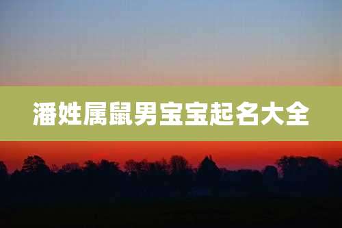 潘姓属鼠男宝宝起名大全