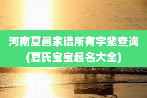 河南夏邑家谱所有字辈查询(夏氏宝宝起名大全)