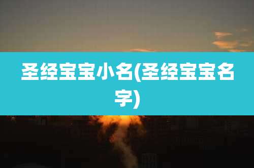 圣经宝宝小名(圣经宝宝名字)