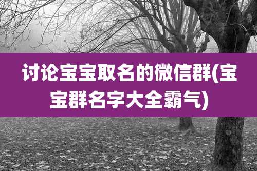 讨论宝宝取名的微信群(宝宝群名字大全霸气)