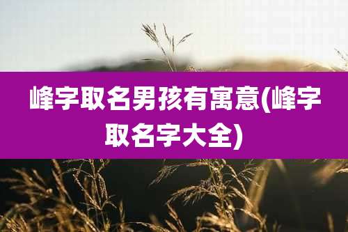 峰字取名男孩有寓意(峰字取名字大全)