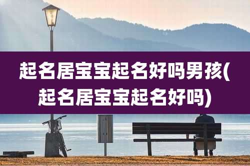 起名居宝宝起名好吗男孩(起名居宝宝起名好吗)