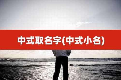 中式取名字(中式小名)