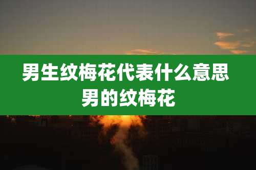 男生纹梅花代表什么意思 男的纹梅花