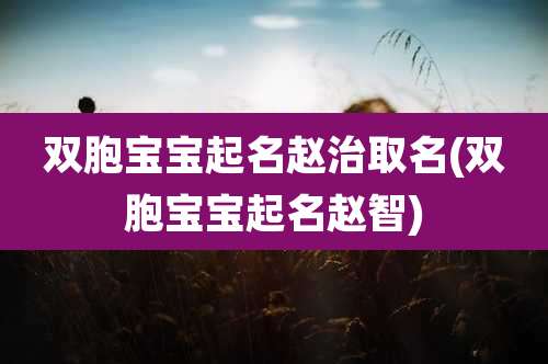 双胞宝宝起名赵治取名(双胞宝宝起名赵智)