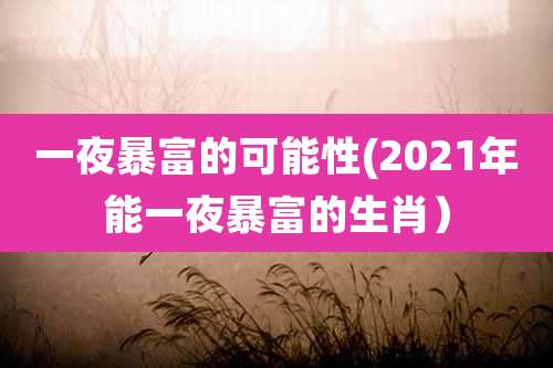 一夜暴富的可能性(2021年能一夜暴富的生肖)