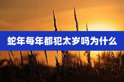蛇年每年都犯太岁吗为什么