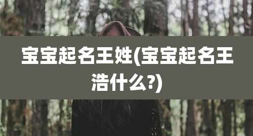 宝宝起名王姓(宝宝起名王浩什么?)