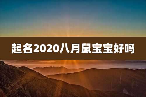 起名2020八月鼠宝宝好吗