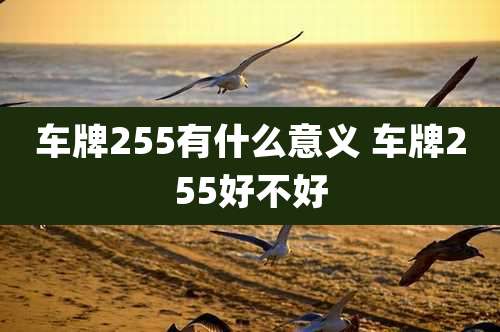 车牌255有什么意义 车牌255好不好