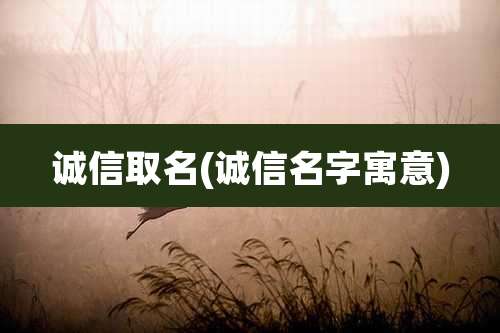 诚信取名(诚信名字寓意)