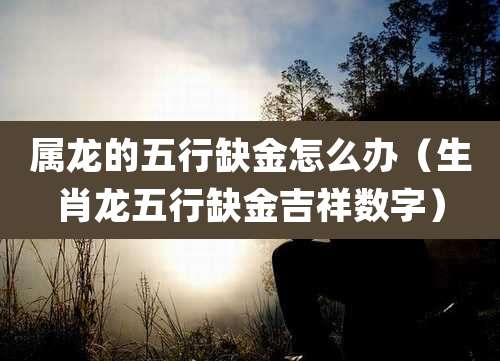 属龙的五行缺金怎么办（生肖龙五行缺金吉祥数字）