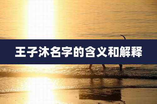 王子沐名字的含义和解释