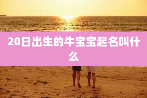 20日出生的牛宝宝起名叫什么