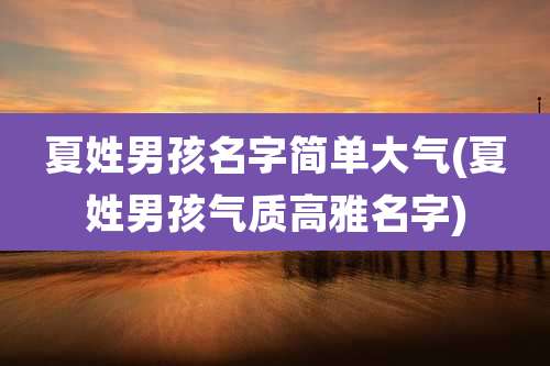 夏姓男孩名字简单大气(夏姓男孩气质高雅名字)