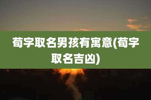 荀字取名男孩有寓意(荀字取名吉凶)