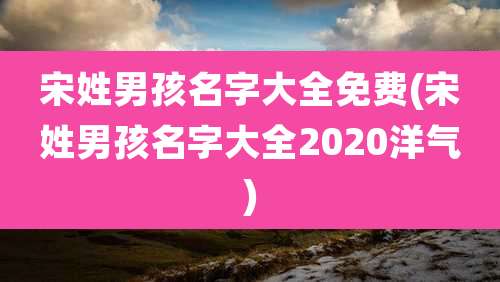 宋姓男孩名字大全免费(宋姓男孩名字大全2020洋气)