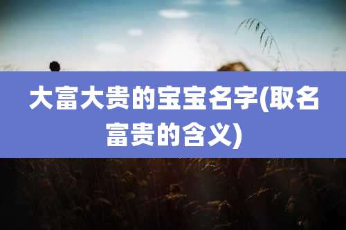 大富大贵的宝宝名字(取名富贵的含义)