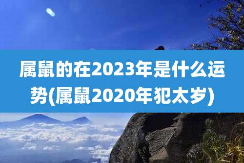 属鼠的在2023年是什么运势(属鼠2020年犯太岁)