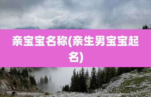 亲宝宝名称(亲生男宝宝起名)