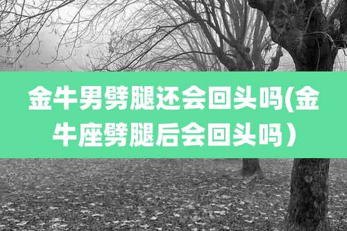 金牛男劈腿还会回头吗(金牛座劈腿后会回头吗)