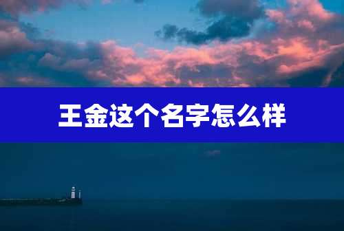 王金这个名字怎么样