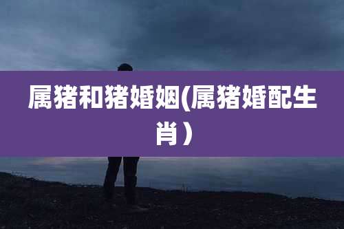 属猪和猪婚姻(属猪婚配生肖）