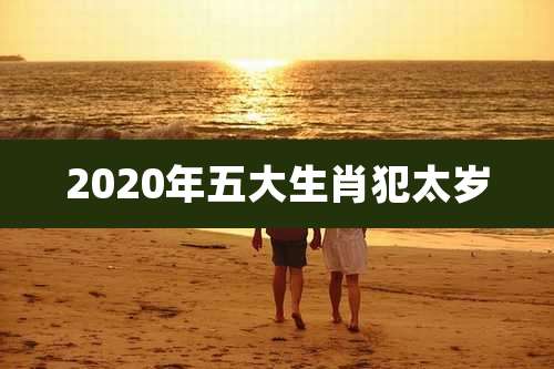 2020年五大生肖犯太岁