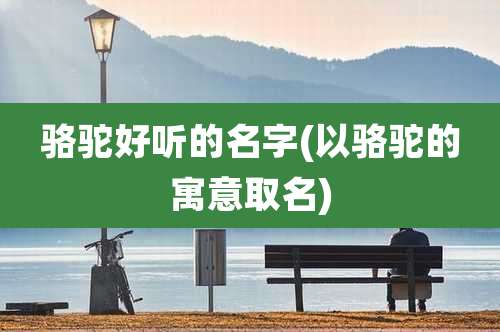 骆驼好听的名字(以骆驼的寓意取名)