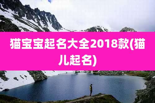 猫宝宝起名大全2018款(猫儿起名)