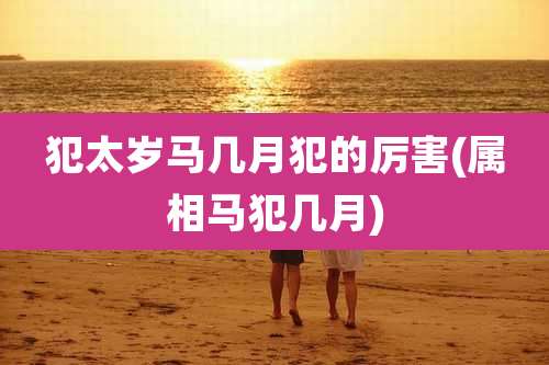 犯太岁马几月犯的厉害(属相马犯几月)