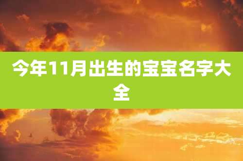 今年11月出生的宝宝名字大全