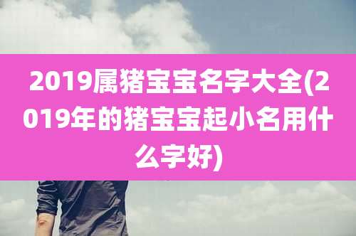 2019属猪宝宝名字大全(2019年的猪宝宝起小名用什么字好)