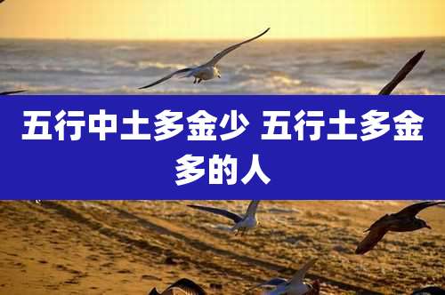 五行中土多金少 五行土多金多的人