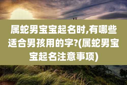 属蛇男宝宝起名时,有哪些适合男孩用的字?(属蛇男宝宝起名注意事项)