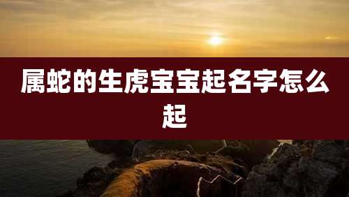 属蛇的生虎宝宝起名字怎么起