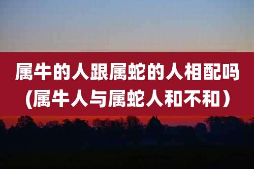 属牛的人跟属蛇的人相配吗(属牛人与属蛇人和不和)