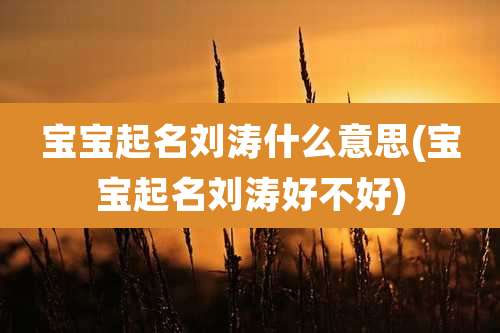 宝宝起名刘涛什么意思(宝宝起名刘涛好不好)